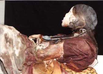 Inca Mummie,Juanita